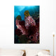 Barrel Sponge and Crinoids Wall Decal Design 2