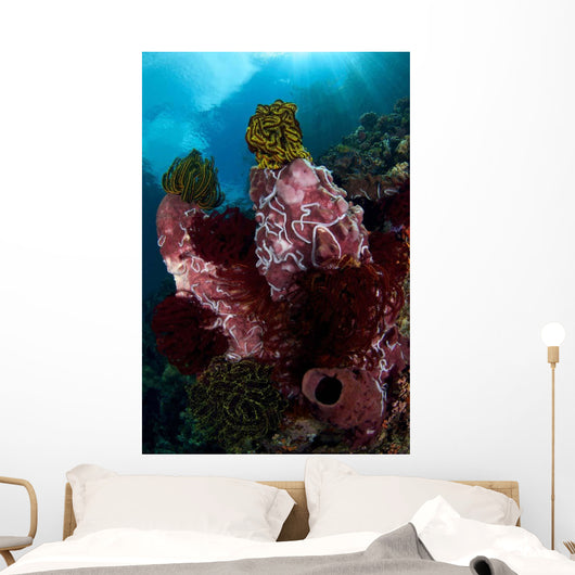 Barrel Sponge and Crinoids Wall Decal Design 2