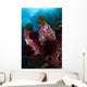 Barrel Sponge and Crinoids Wall Decal Design 2