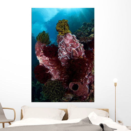 Barrel Sponge and Crinoids Wall Decal Design 2