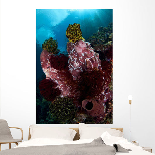 Barrel Sponge and Crinoids Wall Decal Design 2