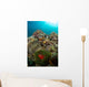 Anemones and Clownfish Liquid Wall Decal