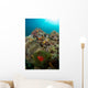 Anemones and Clownfish Liquid Wall Decal