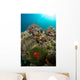Anemones and Clownfish Liquid Wall Decal