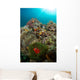 Anemones and Clownfish Liquid Wall Decal