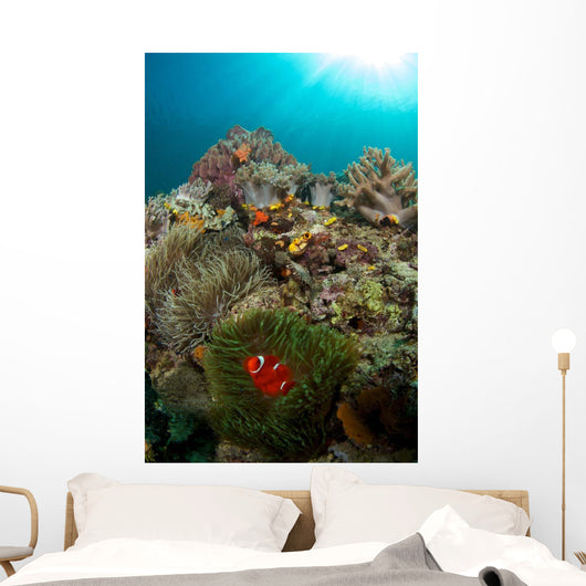 Anemones and Clownfish Liquid Wall Decal