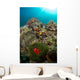 Anemones and Clownfish Liquid Wall Decal