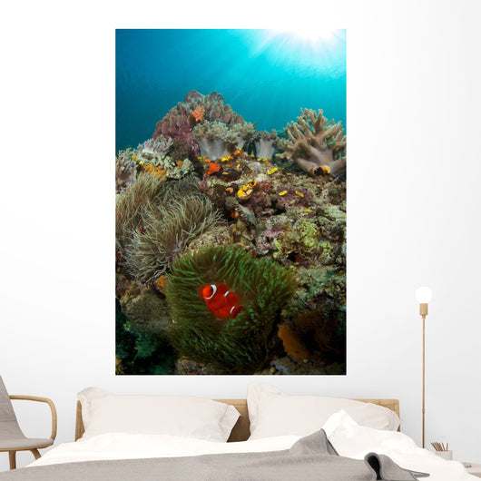 Anemones and Clownfish Liquid Wall Decal