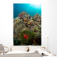Anemones and Clownfish Liquid Wall Decal