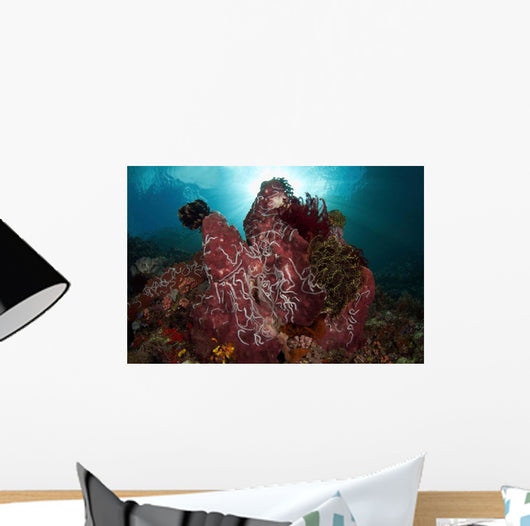 Barrel Sponge and Crinoids Wall Decal Design 1