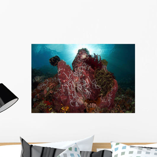 Barrel Sponge and Crinoids Wall Decal Design 1