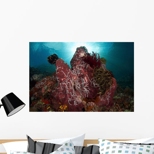 Barrel Sponge and Crinoids Wall Decal Design 1