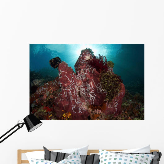 Barrel Sponge and Crinoids Wall Decal Design 1