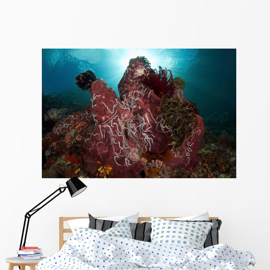 Barrel Sponge and Crinoids Wall Decal Design 1