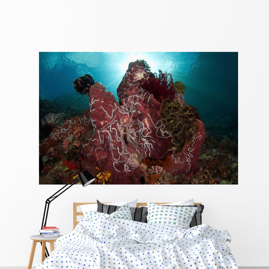 Barrel Sponge and Crinoids Wall Decal Design 1