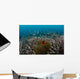 Clownfish and Anemone Hard Wall Decal