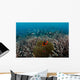 Clownfish and Anemone Hard Wall Decal
