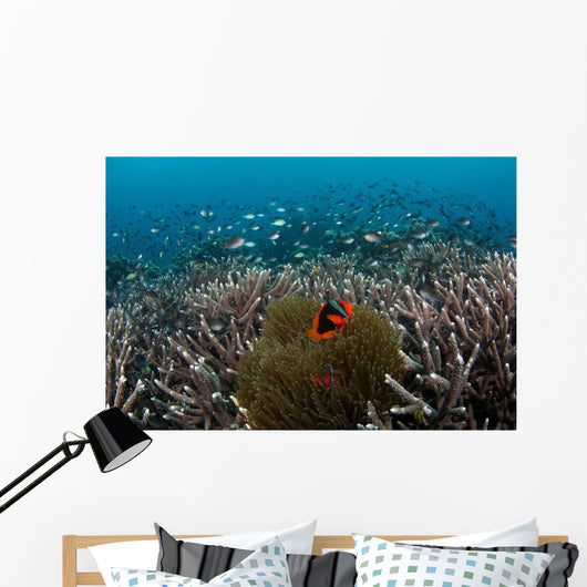 Clownfish and Anemone Hard Wall Decal