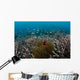 Clownfish and Anemone Hard Wall Decal