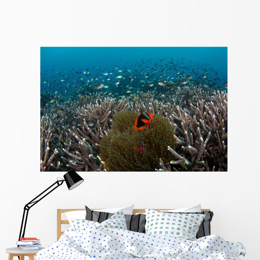 Clownfish and Anemone Hard Wall Decal