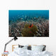 Clownfish and Anemone Hard Wall Decal