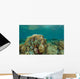 Clownfish Swim around Coral Wall Decal
