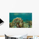 Clownfish Swim around Coral Wall Decal