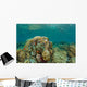 Clownfish Swim around Coral Wall Decal