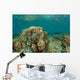 Clownfish Swim around Coral Wall Decal