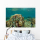 Clownfish Swim around Coral Wall Decal