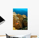 Clownfish Hiding Anemone Apo Wall Decal