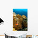 Clownfish Hiding Anemone Apo Wall Decal