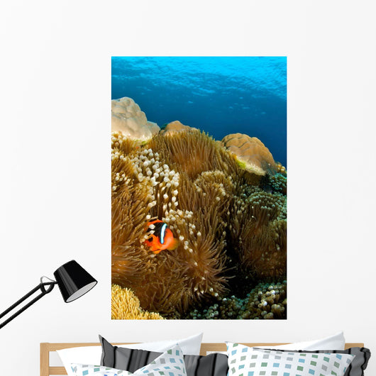 Clownfish Hiding Anemone Apo Wall Decal