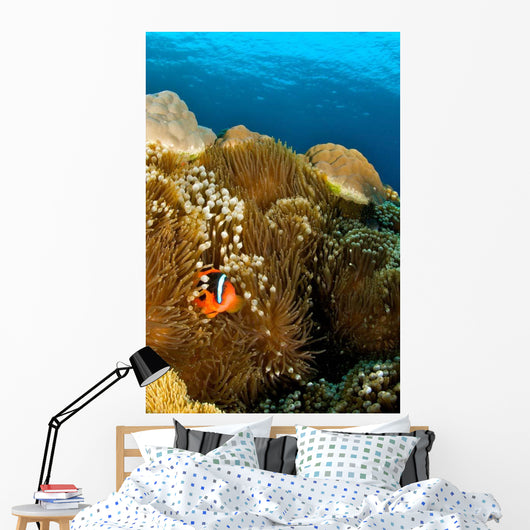 Clownfish Hiding Anemone Apo Wall Decal
