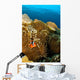 Clownfish Hiding Anemone Apo Wall Decal