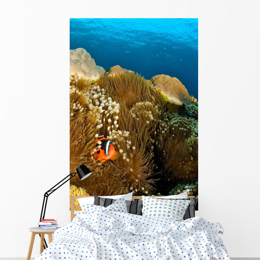 Clownfish Hiding Anemone Apo Wall Decal