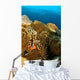Clownfish Hiding Anemone Apo Wall Decal