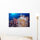 Clownfish Hiding Anemone Siquijor Wall Decal