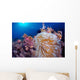 Clownfish Hiding Anemone Siquijor Wall Decal