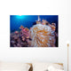 Clownfish Hiding Anemone Siquijor Wall Decal