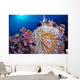 Clownfish Hiding Anemone Siquijor Wall Decal