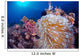 Clownfish Hiding Anemone Siquijor Wall Decal