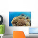 Coral Gardens around Moalboal Wall Decal Design 4