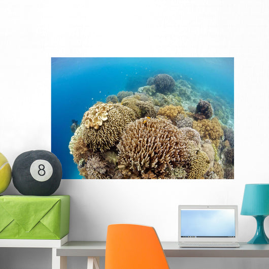 Coral Gardens around Moalboal Wall Decal Design 4