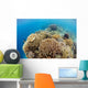 Coral Gardens around Moalboal Wall Decal Design 4