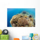 Coral Gardens around Moalboal Wall Decal Design 4
