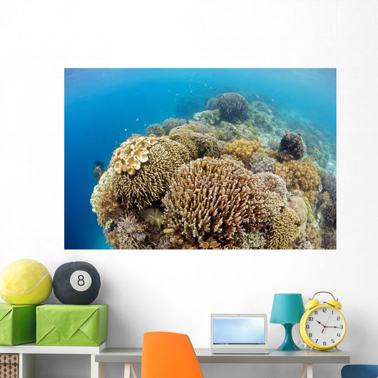 Coral Gardens around Moalboal Wall Decal Design 4