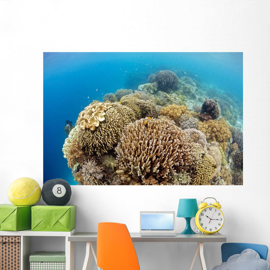 Coral Gardens around Moalboal Wall Decal Design 4