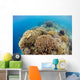 Coral Gardens around Moalboal Wall Decal Design 4