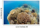 Coral Gardens around Moalboal Wall Decal Design 4